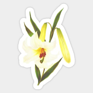 Floral Sticker